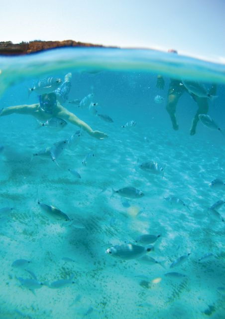 ibiza-classic-full-or-half-day-boat-charter