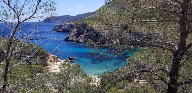 Ibiza: Crystal Coast Walk with Swim Stop - Key Points