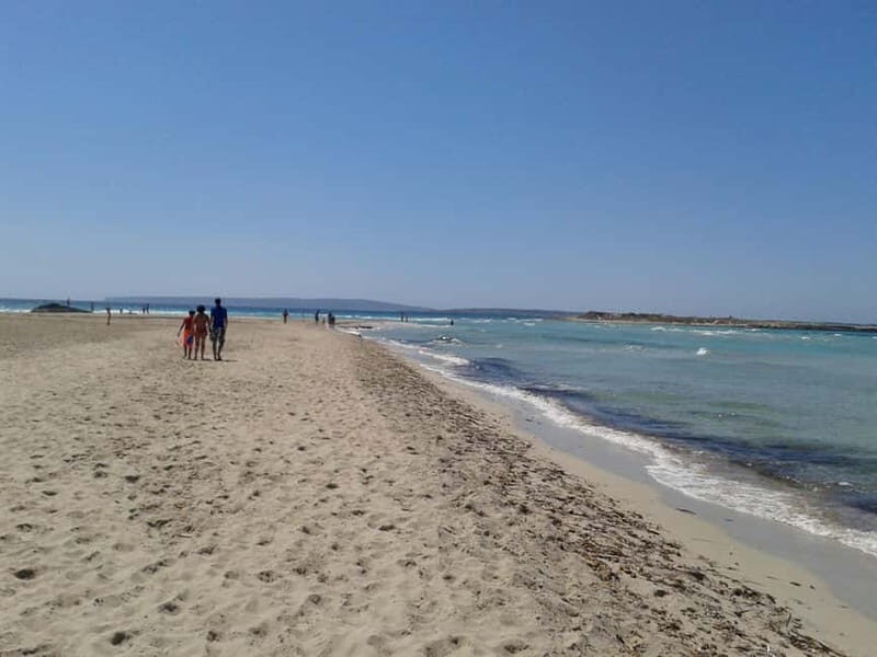 IBIZA day trip to Formentera by bicycle - In The Sum Up