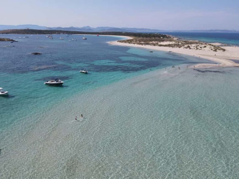 Ibiza: Formentera Cruise w/ Open Bar, Paella & Water Sports - Who Would Love This Experience?