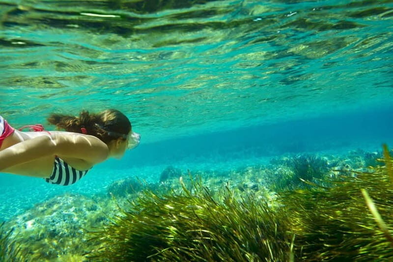 Ibiza: Formentera Secret Beaches Half-Day VIP Cruise - Key Points