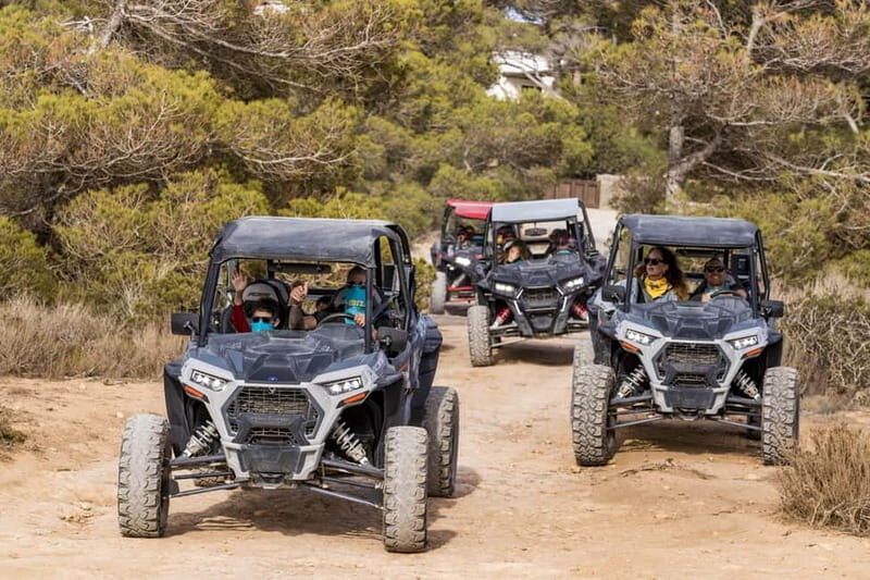 Ibiza: Guided Buggy Tour with Beach Stops - The Experience Itself: What to Expect