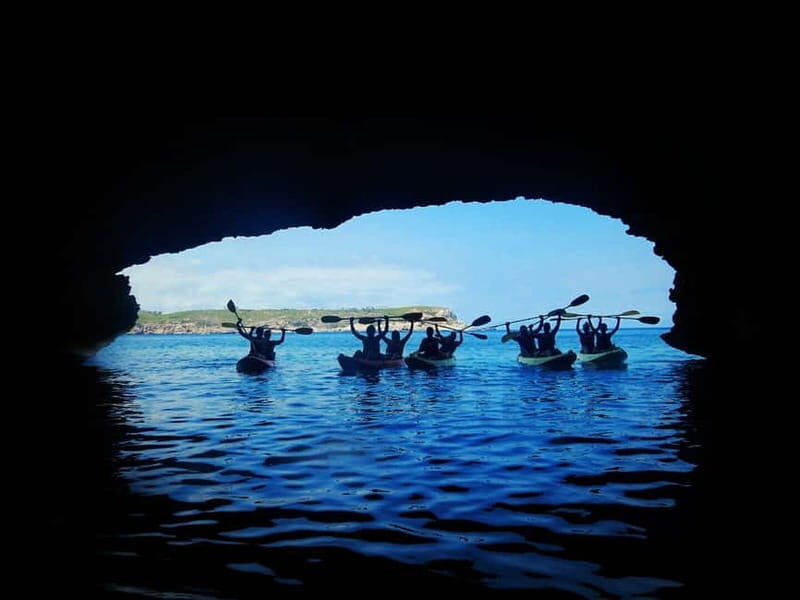 Ibiza: Guided Kayaking,caves,snorkel Tour - Key Points