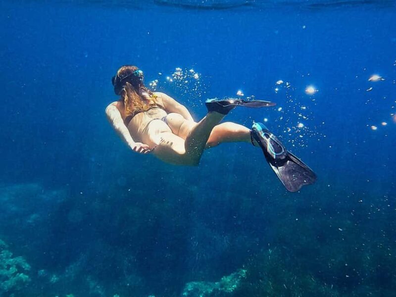 Ibiza: Guided Snorkeling Trip - What to Expect from the Tour