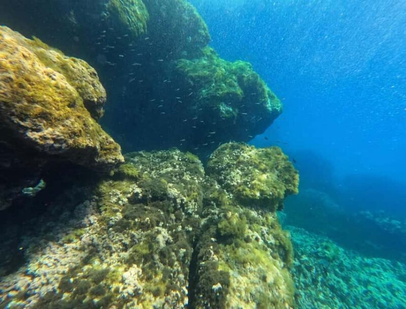 Ibiza: Guided Snorkeling Trip - The Sum Up