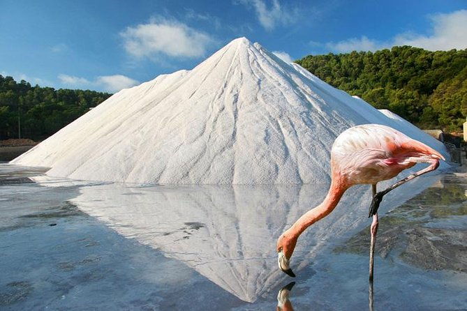 ibiza-island-tour-punta-arabi-local-market