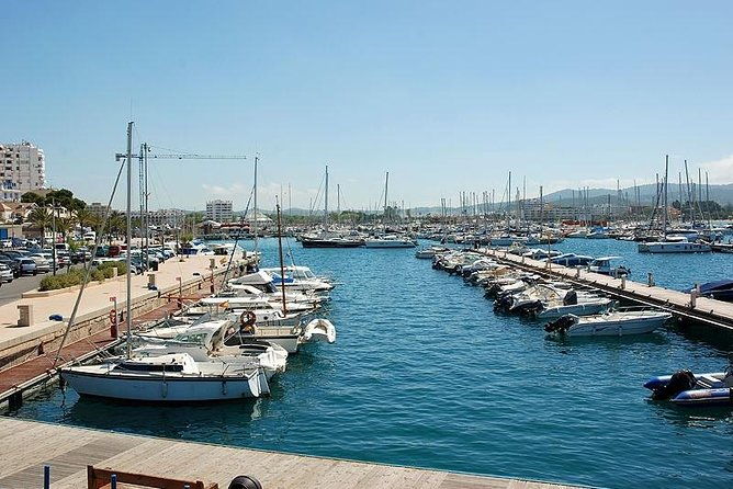 ibiza-island-tour-punta-arabi-local-market