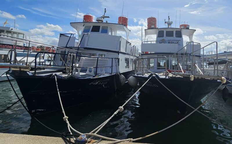 ibiza-maritime-excursion-to-illetas-with-paella-and-drinks