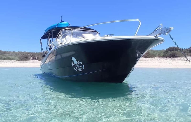 Ibiza: "north of the island" tour from the sea in a private boat - Key Points