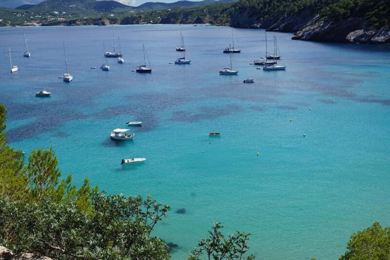 Ibiza Private Boat Excursion Tagomago Island 10 people Max - Who Will Love This Experience?