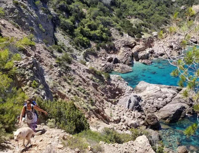 Ibiza: Private Hiking Tour with Local Guide - What Reviewers Say About the Experience
