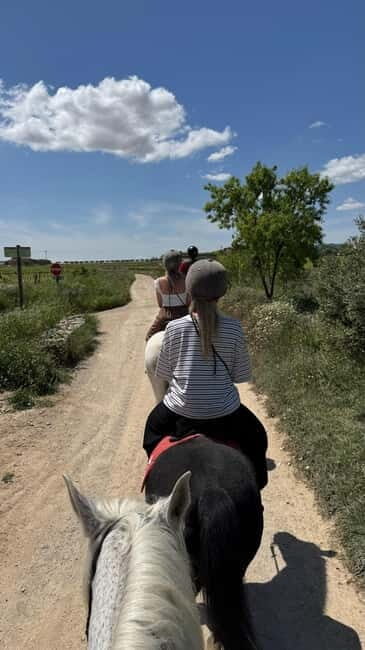 Ibiza: Private Horseback Ride + Picnic + Transport - Key Points