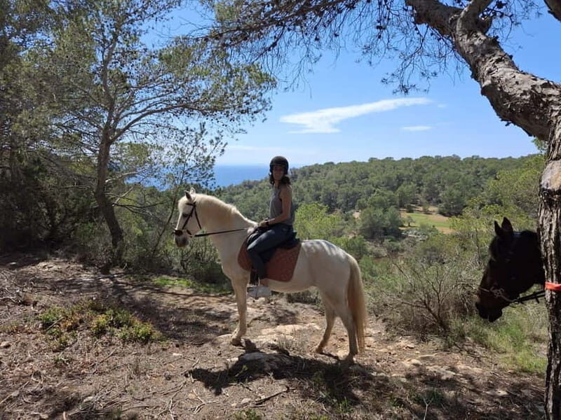 Ibiza: Private Horseback Ride + Picnic + Transport - Diving Into the Details: What to Expect from the Ibiza Horseback Experience