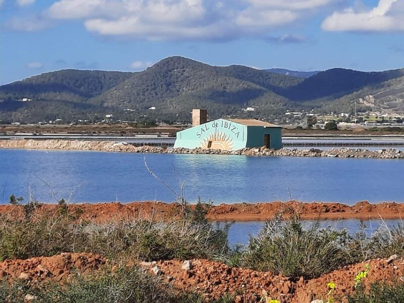 ibiza-salines-bike-tour-to-see-flamingos-and-salt