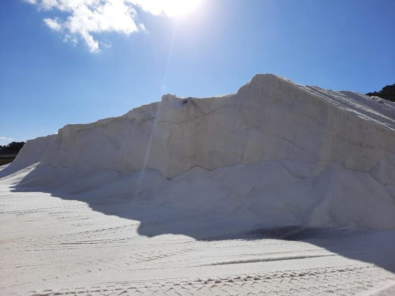 ibiza-salines-bike-tour-to-see-flamingos-and-salt