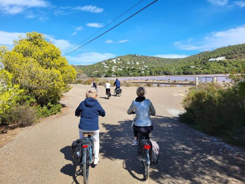 ibiza-salines-bike-tour-to-see-flamingos-and-salt