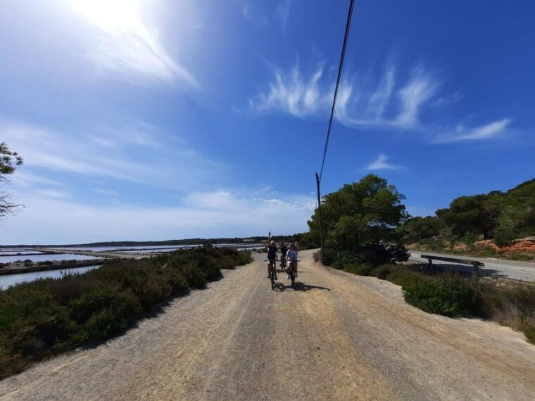 ibiza-salines-bike-tour-to-see-flamingos-and-salt