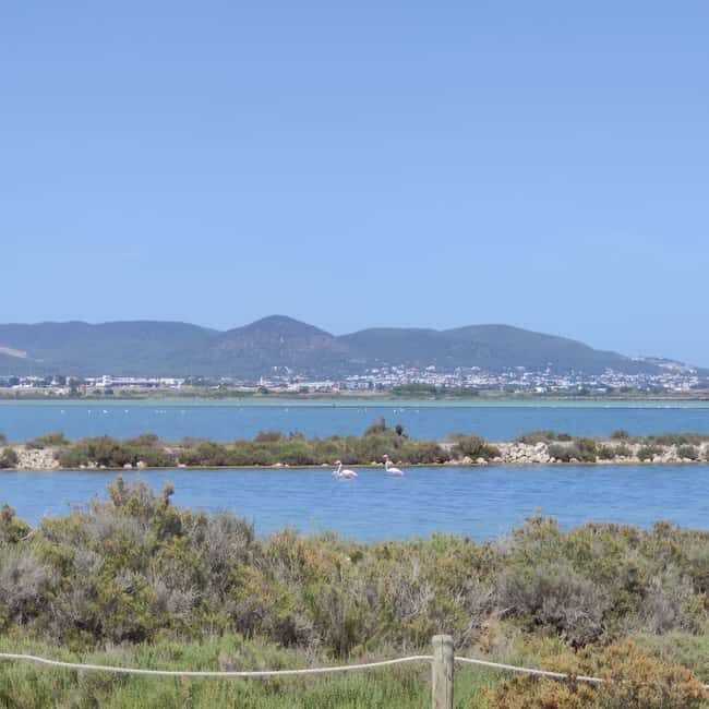 Ibiza: Salt Beds, Es Vedra & Time and Space Half-Day Tour - The Sum Up