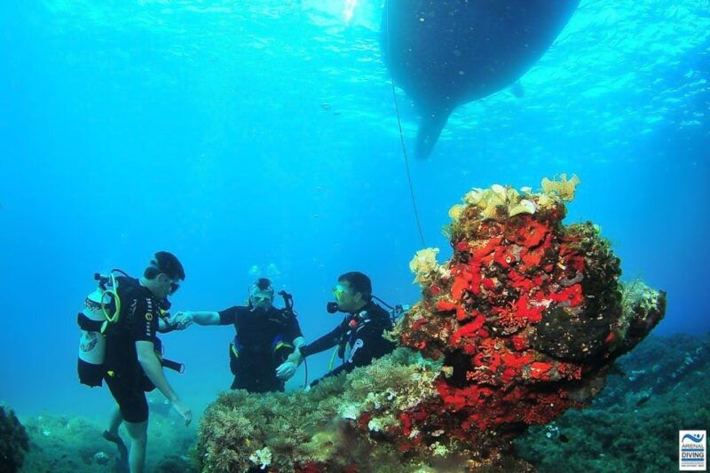 ibiza-scuba-diving-for-beginners-and-snorkeling