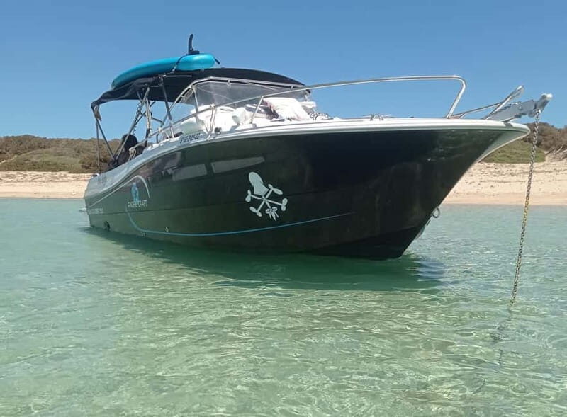Ibiza: short "north of the island" tour from the sea in a private boat - Exploring Ibiza’s North Coast from the Sea: A Private Boat Tour Review