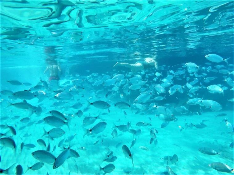 ibiza-snorkeling-sunset-beach-and-cave-boat-trip
