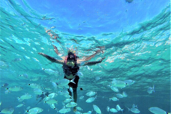 Ibiza Sunset Snorkeling Beach and Cave Cruise Tour - Who Is This Tour Best Suited For?