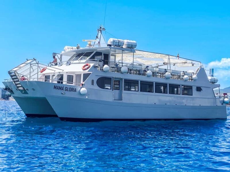 Ibiza: VIP Catamaran Party with DJ, Open Bar, Paella, and Nightclubs - Final Thoughts