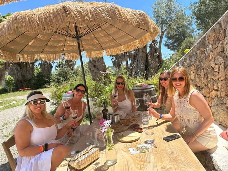 Ibiza Wine Tour: Wine Tasting + Tapas at Winery - Ibiza Wine Tour: Wine Tasting + Tapas at Winery