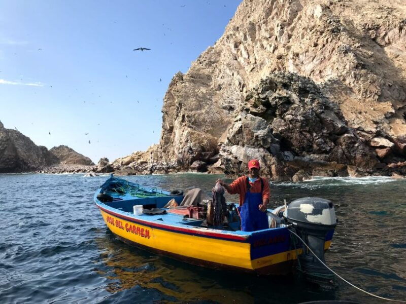 ica-ballestas-island-paracas-reserve-private-tour