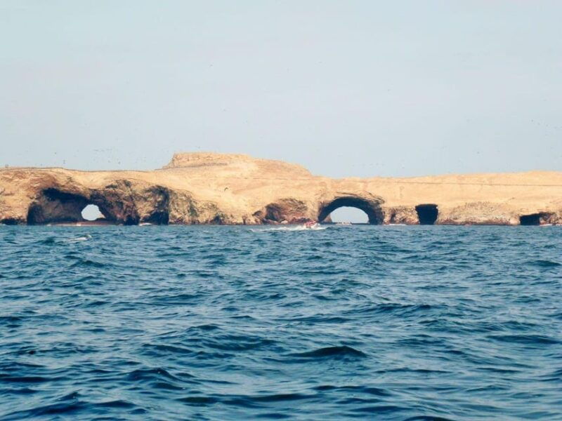 ica-ballestas-islands-paracas-national-reserve-excursion