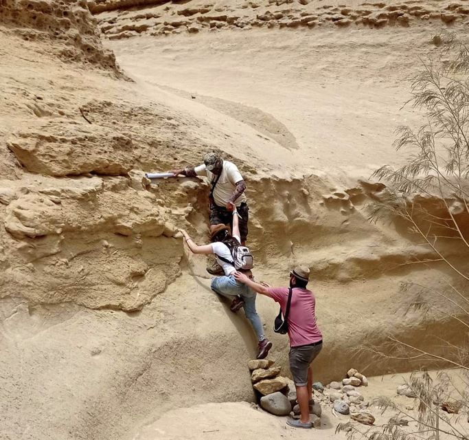 ica-canyon-of-the-lost-tour-in-ocucaje-desert