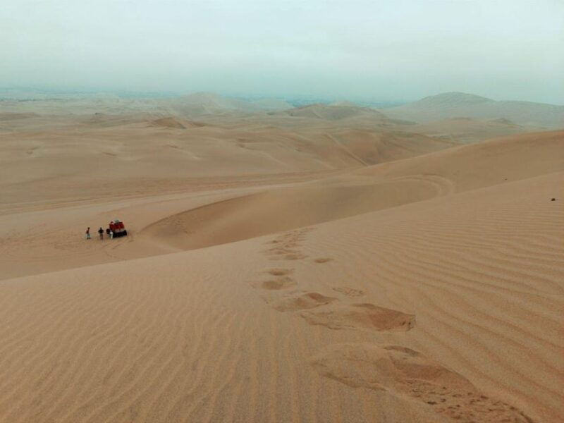 ica-city-tour-of-ica-and-huacachina