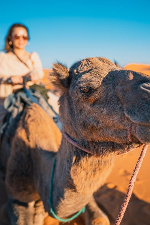 ica-huacachina-camel-ride-in-the-peruvian-desert