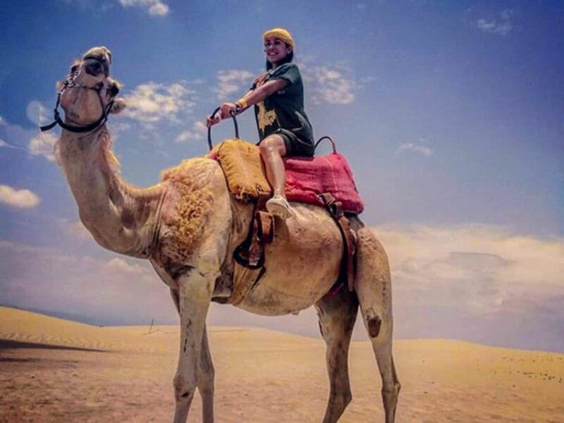 ica-huacachina-camel-ride-in-the-peruvian-desert