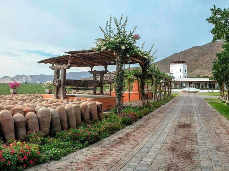 ica-pisco-route-tacama-arrabal-bodega-lovera-2