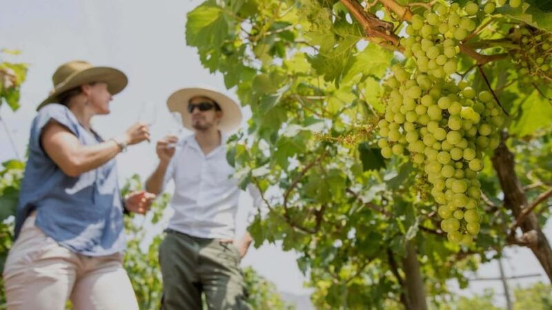 ica-pisco-tour-tacama-arrabal-bodega-lovera