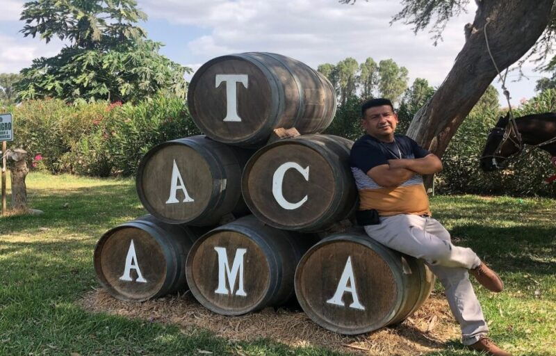 ica-pisco-wineries-and-vineyards-day-tour