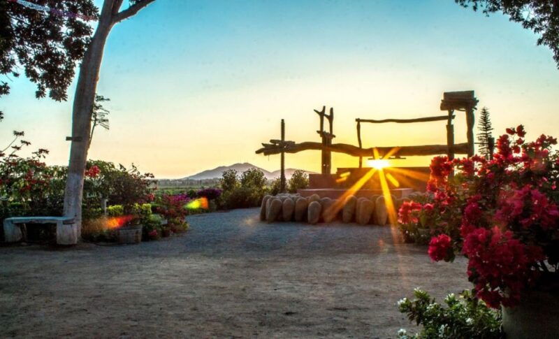 ica-pisco-wineries-and-vineyards-day-tour