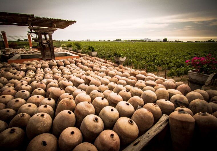ica-private-city-tour-wine-tasting