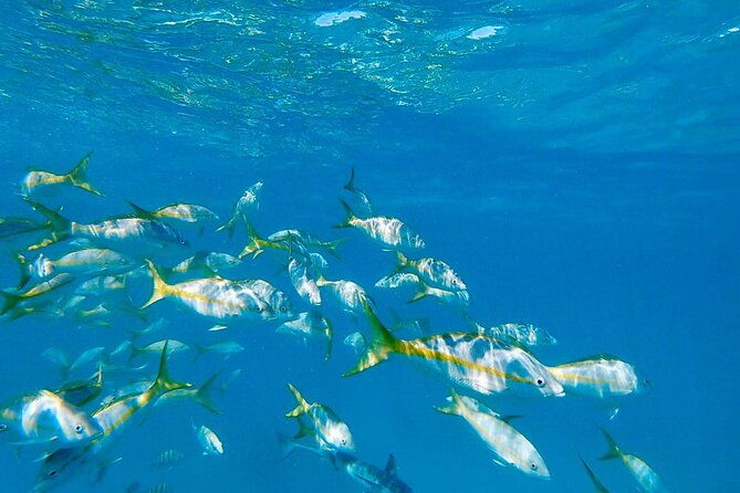 icacos-island-all-inclusive-snorkel-and-boat-tour