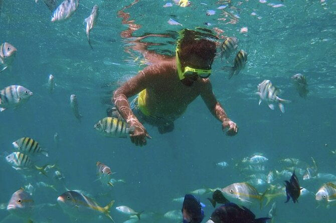 icacos-island-all-inclusive-snorkel-and-boat-tour
