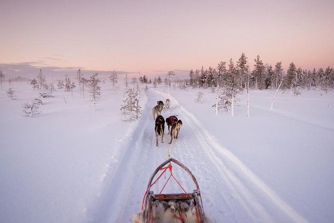 ice-fishing-and-husky-2