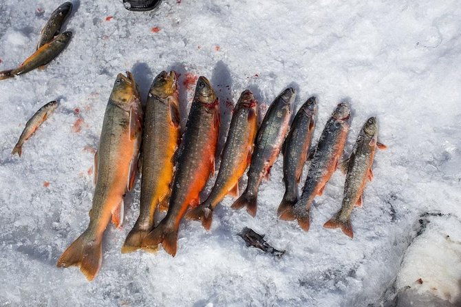 ice-fishing-and-husky-2