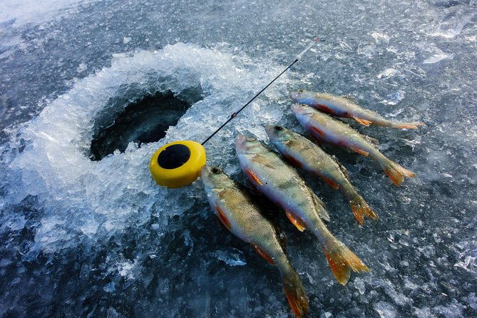 ice-fishing-and-husky-2