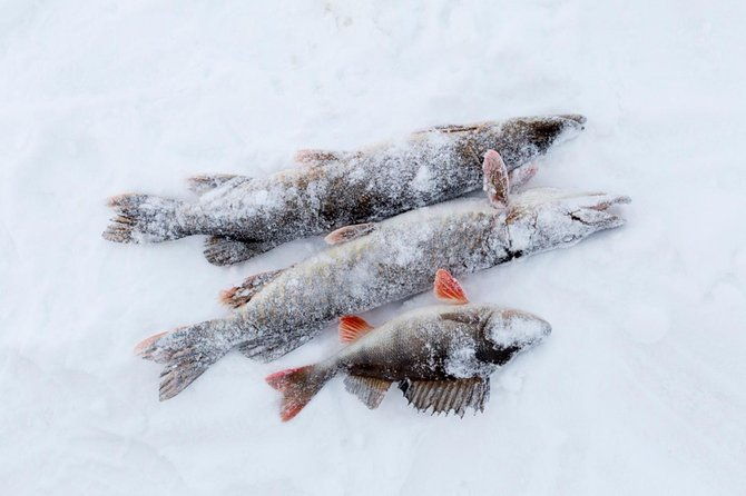 ice-fishing-by-snowmobile-from-rovaniemi