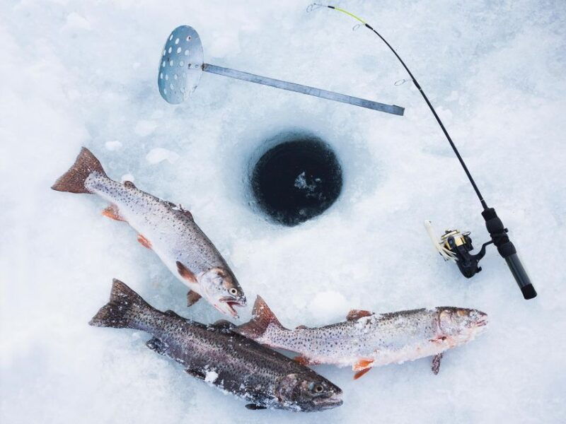 ice-fishing-experience-2