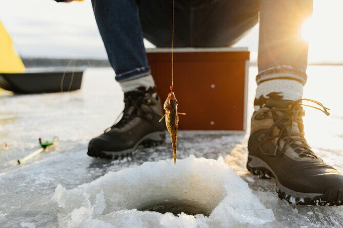 Ice Fishing Festival from Seoul - Key Points