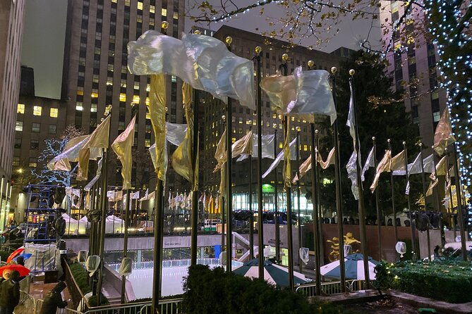 ice-skating-at-central-park-plus-st-patricks-cathedral-tour