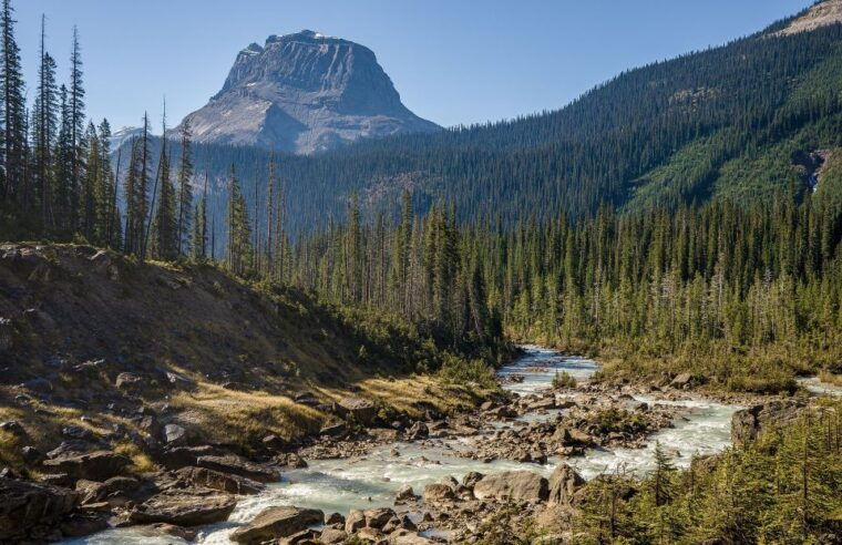 icefields-parkway-smartphone-audio-driving-tour