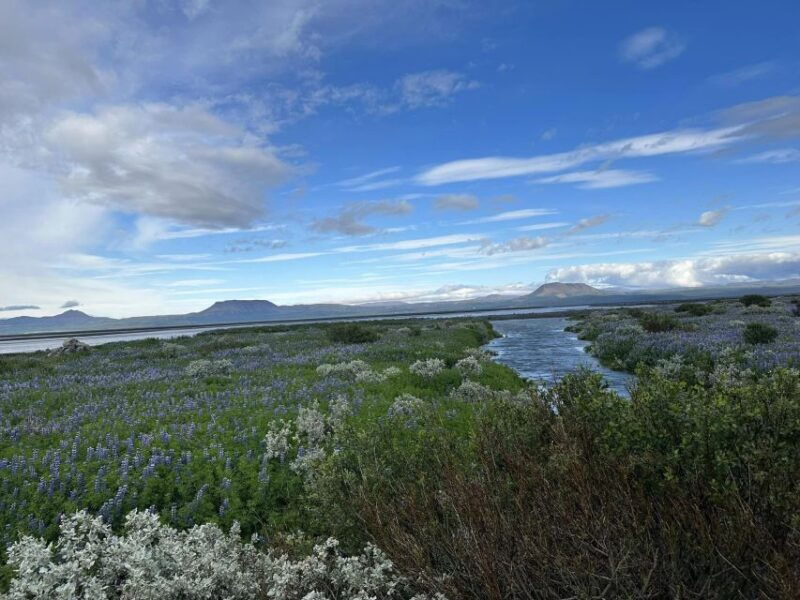 iceland-atv-atv-guided-trip-close-to-dettifoss-iceland